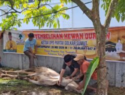 DPD Partai Golkar Labuhanbatu Sembelih 4 Hewan Kurban