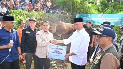 Gubernur Mahyeldi Hadiri Penyembelihan Sapi Qurban Bantuan Wakil Presiden RI di Limapuluh Kota
