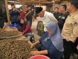 Gubernur Mahyeldi: Investasi Pengolahan Pinang Gerakkan Ekonomi Masyarakat