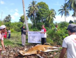 Pemprov Sumbar Pastikan Tebar Qurban di Mentawai Tepat Sasaran