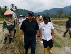 Dirjen Lahan dan Irigasi Pertanian Kementan Hermanto Turun, Padang Pariaman Cepat Pulihkan Sawah Pascabencana