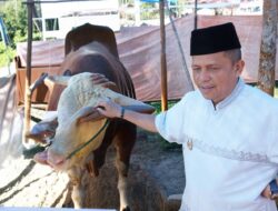 Wako Zulmaeta Apresiasi Bantuan Sapi Kurban 1,2 Ton Presiden untuk Warga Payakumbuh
