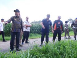 Zulmaeta Instruksikan Pemulihan Cepat Saat Tinjau Lokasi Bencana di Payakumbuh