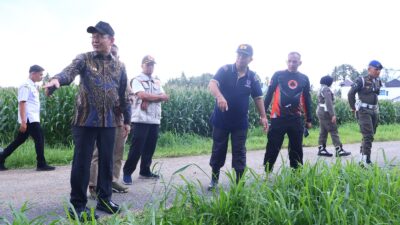 Zulmaeta Instruksikan Pemulihan Cepat Saat Tinjau Lokasi Bencana di Payakumbuh