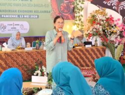 Kunjungan Nyonya Luluk Williams di Kebun Aek Pamienke Diisi Program Sosial, Pelatihan hingga CSR Pendidikan