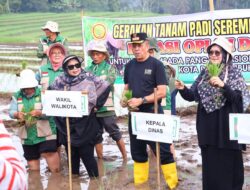 Payakumbuh Dukung Gerakan Tanam Serentak 50 ribu Hektare untuk Perkuat Swasembada Pangan
