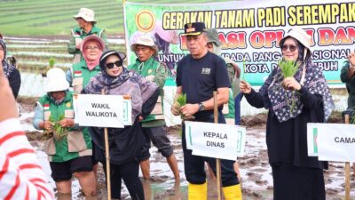 Payakumbuh Dukung Gerakan Tanam Serentak 50 ribu Hektare untuk Perkuat Swasembada Pangan