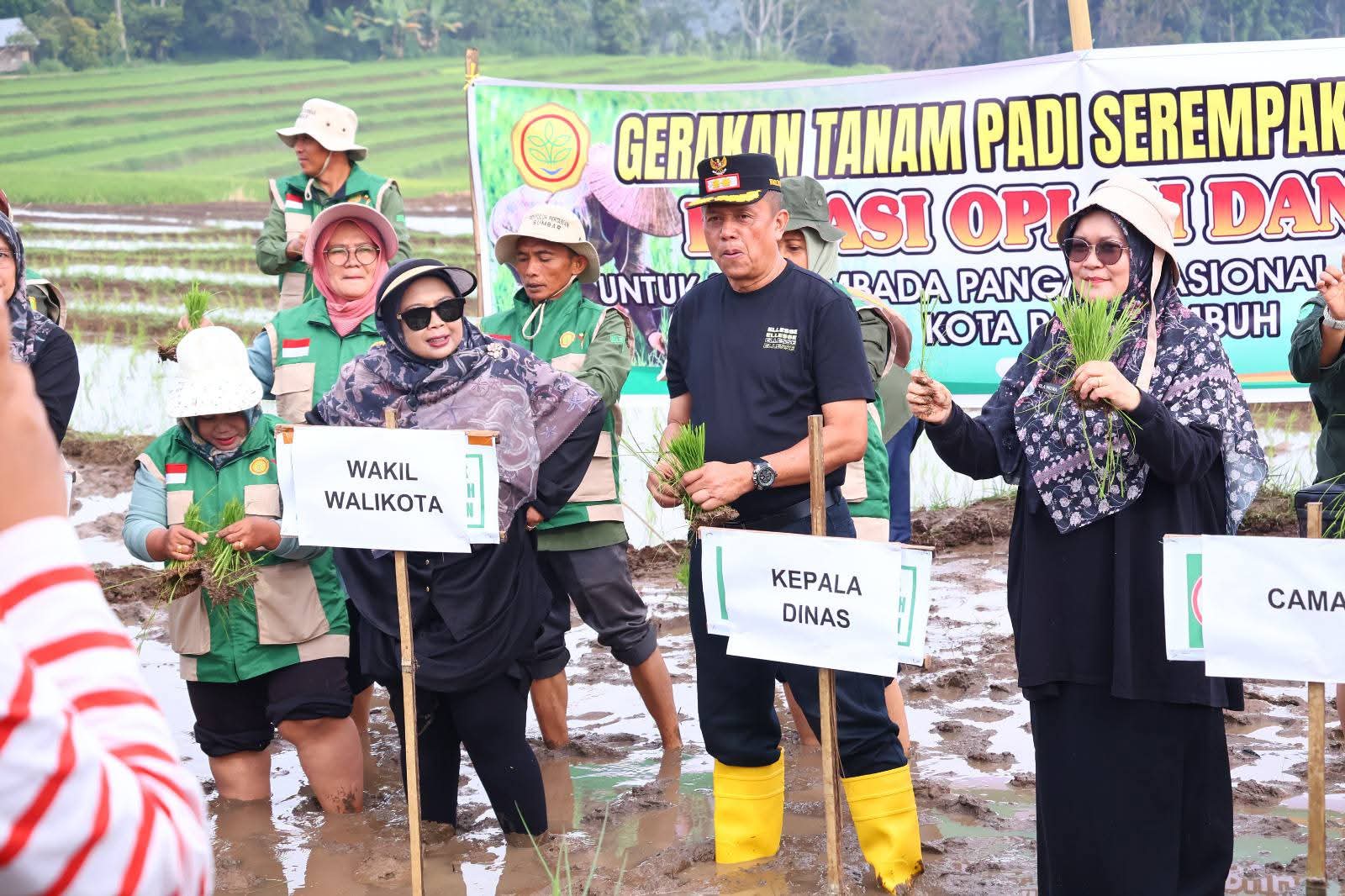 Payakumbuh Dukung Gerakan Tanam Serentak 50 ribu Hektare untuk Perkuat Swasembada Pangan