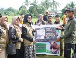 LKKS Payakumbuh dan Indo Jalito Peduli Salurkan Hewan Qurban untuk Warga Padang Alai Bodi