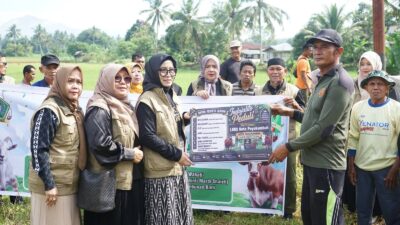 LKKS Payakumbuh dan Indo Jalito Peduli Salurkan Hewan Qurban untuk Warga Padang Alai Bodi