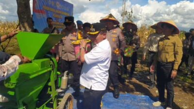 Bupati Kapuas Ikut Giling Jagung Saat Panen Raya