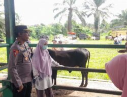 Kompol Fahrel Haris: Pengawasan Jalur Lintas Efektif Tekan Angka Pencurian Hewan Ternak
