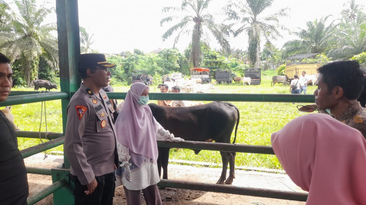 Kompol Fahrel Haris: Pengawasan Jalur Lintas Efektif Tekan Angka Pencurian Hewan Ternak
