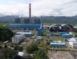 PLN Indonesia Power Dorong Energi Bersih Lewat Biomassa Sorgum Berbasis Masyarakat