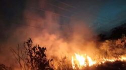 Kobaran api saat kebakaran berlangsung.