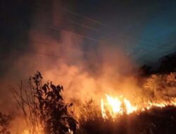 Kebakaran Lahan di Lunang Tengah Pesisir Selatan Berhasil Dipadamkan Sebelum Merembet ke Rumah Warga