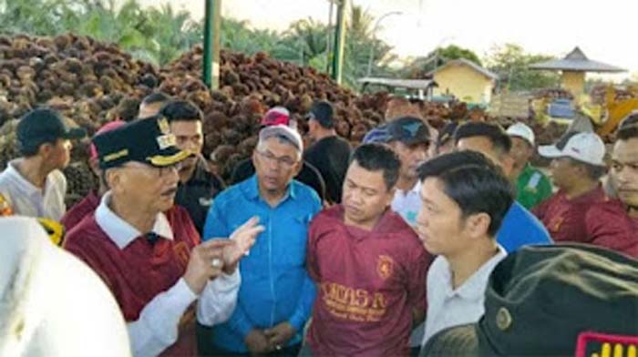 Bupati Pessel Hendrajoni ketika meninjau operasional PKS.