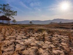 BMKG Prediksi El Nino 2026, Kemarau Diperkirakan Lebih Kering dan Panjang