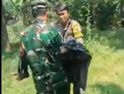 Bocah Tewas Diserang Anjing Pemburu di Jasinga, Polisi Kejar Pemilik