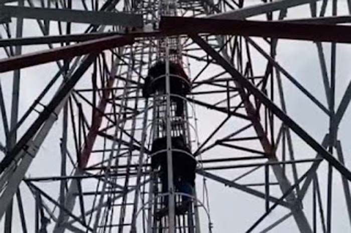 Tim SAR gabungan mengevakuasi Mursalin Candra yang nekat memanjat tower 52 meter.