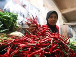 Harga Cabai dan Bawang di Pesisir Selatan Stabil, Pasokan Pangan Dipastikan Aman