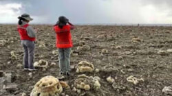 Gempa dahsyat Filipina memicu fenomena geologi mengerikan, dasar laut terangkat 2 meter.