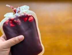 Donor Darah Berapa Bulan Sekali? Ini Aturan Jeda yang Aman Menurut Medis