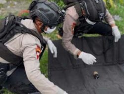 Warga Tegal Temukan Diduga Granat Nanas di Kebun Jagung, Gegana Turun Tangan