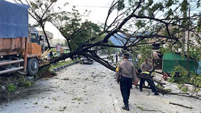 Truk Tabrak Pohon Pembatas Jalan di Lubuk Kilangan.