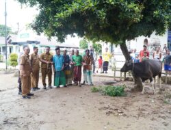 Hesnidar Haris Serahkan Hewan Kurban untuk Masyarakat Batang Hari dan Muaro Jambi