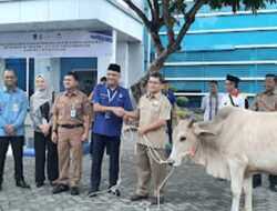 Mengalirkan Kepedulian Saat Idul Adha 1447 H, Perumda AM Padang Berbagi untuk Masyarakat