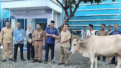 Dirut Perumda AM Kota Padang H. Hendra Pebrizal, S. Sos, MM didampingi Dewan Pengawas Didi Ariyadi dan Sekretaris daerah kota Padang Raju Minropa menyerahkan secara simbolis hewan kurban kepada warga penerima.