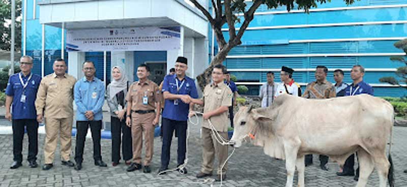 Dirut Perumda AM Kota Padang H. Hendra Pebrizal, S. Sos, MM didampingi Dewan Pengawas Didi Ariyadi dan Sekretaris daerah kota Padang Raju Minropa menyerahkan secara simbolis hewan kurban kepada warga penerima.
