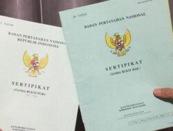 Pemilik Tanah Wajib Tahu! Ini Aturan dan Proses Pemecahan Bidang Tanah 