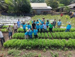 Pemanfaatan Pekarangan Karyawan Berbuah Hasil, PT Socfindo Bangun Bandar Panen Perdana Melon dan Kangkung