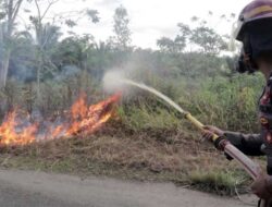 Wabup Pulang Pisau Ingatkan Ancaman Karhutla Saat Musim Kemarau