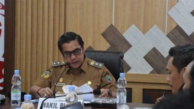 Wakil Bupati Pulang Pisau, Ahmad Jayadikarta