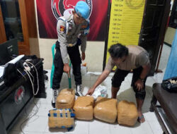 Kecelakaan di Jalinsum Solok–Padang Berujung Pengungkapan Dugaan Peredaran Ganja