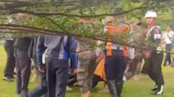 Aksi Kekerasan Diduga Personel Satpol PP Bukittinggi Viral