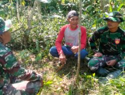 TMMD Kodim Salatiga Dorong Produktivitas Lahan Pertanian