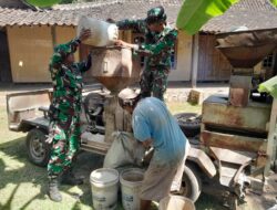 TMMD Reguler ke-129 Kodim 0714/Salatiga: Mengabdi, Membantu, dan Memperkuat Ketahanan Pangan Desa