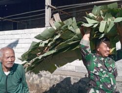 Tak Hanya Bangun Infrastruktur, Satgas TMMD Reg 129 Peduli Warga dengan Membantu Peternak