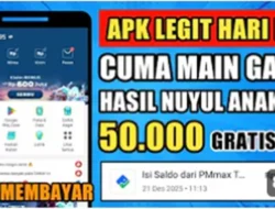 MoneyHi Duo Penghasil Uang, Benarkah Bisa Cairkan Saldo hingga Ratusan Ribu?
