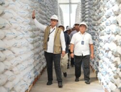 Bulog Sudah Serap 3,5 Juta Ton Beras, Target Pengadaan 4 Juta Ton Kian Dekat