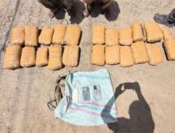 Sindikat Ganja Lintas Provinsi Dibongkar Polda Sumbar
