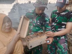 TMMD ke-129 Kembangkan Madu sebagai Produk Unggulan