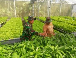 Green House Suratno, Bukti Nyata Semangat Warga Cukil Kembangkan Pertanian Berkelanjutan