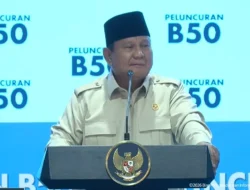 Prabowo Targetkan PLTS 100 GW, Pembangunan Perdana 17 GW Dimulai Tahun Ini
