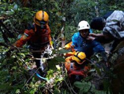 Mobil Terjun ke Jurang 40 Meter di Kelok Sembilan, Dua Korban Selamat Dievakuasi