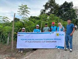 PLN Dukung Budidaya Buah Naga di Solok Lewat Program Electrifying Agriculture